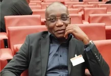 Dépasser le P.i.b, cultiver le B.i.b: repenser le vrai développement de l’Afrique