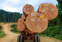 Un atelier à Pointe-Noire sur le système de légalité et de traçabilité du bois