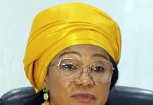 Journée internationale des forêts