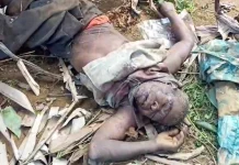 Qui va prendre en charge les obsèques de l’homme tué par un éléphant à Diba-Diba?