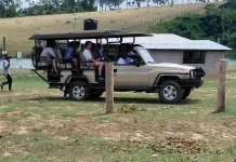Ecotourisme: la Cité des grands lacs, un parc offrant une expérience immersive en milieu naturel