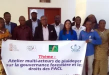 O.c.d.h (Observatoire congolais des droits de l’homme) : Pour les droits des autochtones et communautés locales dans la gouvernance forestière