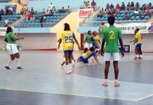 Crise du handball congolais: une séance de travail de la dernière chance?